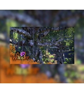 Wander Gift Steam Key GLOBAL